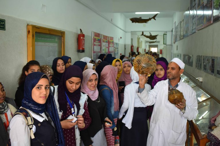 فاعلية زيارة مدرسة التجارة المتقدمة الثانوية