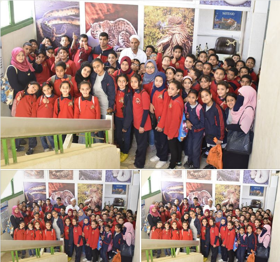 فاعلية زيارة مدرسة المناهل الخاصة للغات