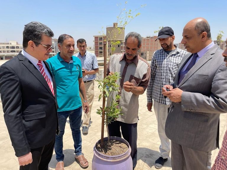 متابعة العناية باعمال زراعة سطح الكلية