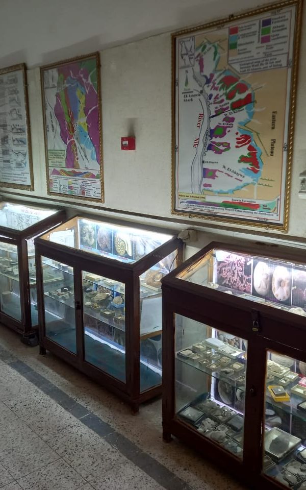 62233432-a280-45f4-91df-b1d1f3c9bfad