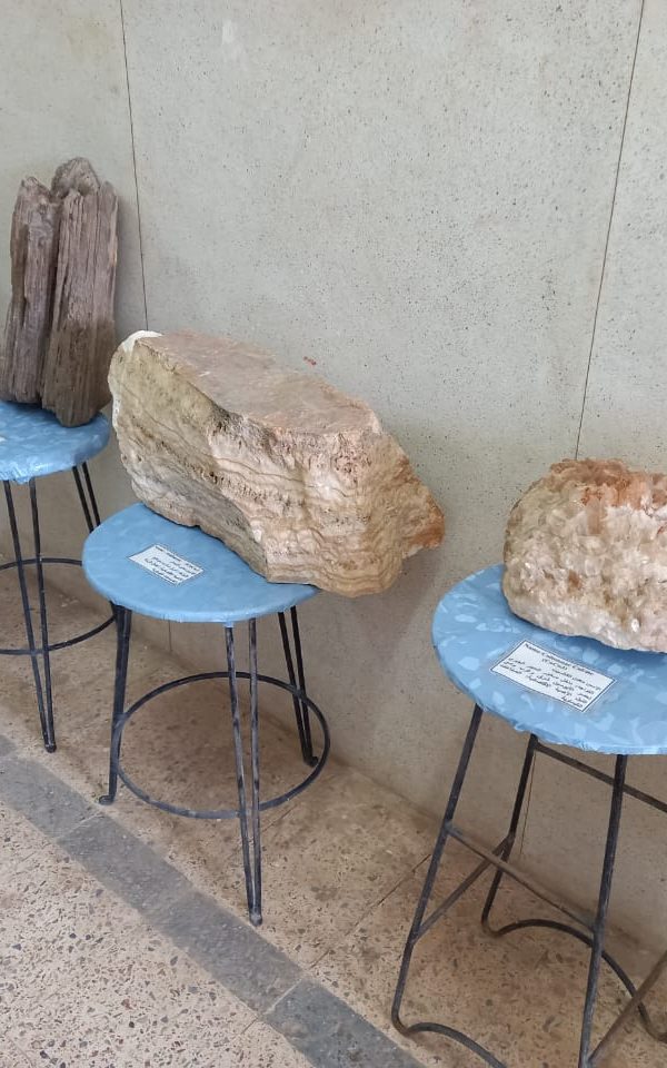 6bc3b645-c1e4-4f1c-868b-567afb393956