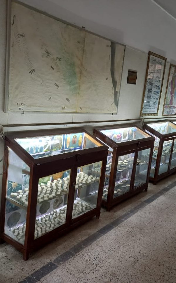 75469dc4-4021-4ff3-85c8-02d761ce18df