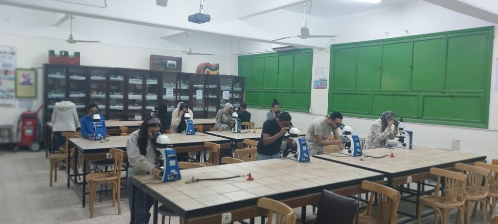 WhatsApp Image 2024-11-16 at 3.21.44 PM (4)