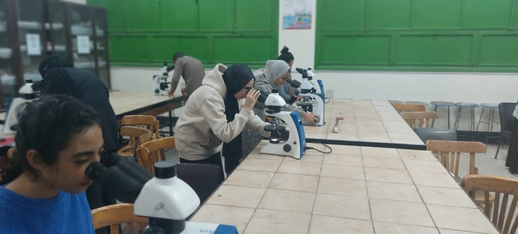 WhatsApp Image 2024-11-16 at 3.21.46 PM (1)