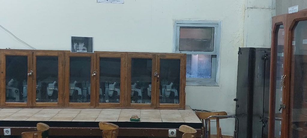 WhatsApp Image 2024-11-16 at 3.21.48 PM (2)