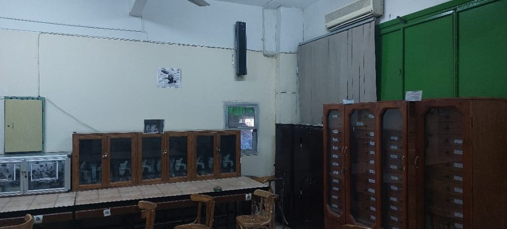 WhatsApp Image 2024-11-16 at 3.21.49 PM (2)