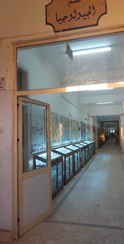 WhatsApp Image 2024-11-16 at 3.45.10 PM (2)