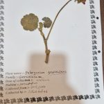 WhatsApp Image 2024-11-20 at 09.04.49 (3)