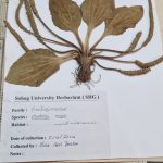 WhatsApp Image 2024-11-20 at 09.04.50 (1)