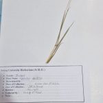 WhatsApp Image 2024-11-20 at 09.04.50