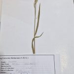 WhatsApp Image 2024-11-20 at 09.04.51