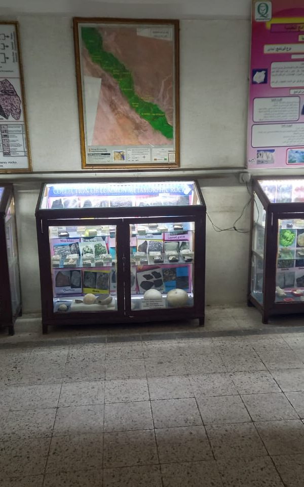 f7749ed0-eed5-43a5-9227-66c68a474218