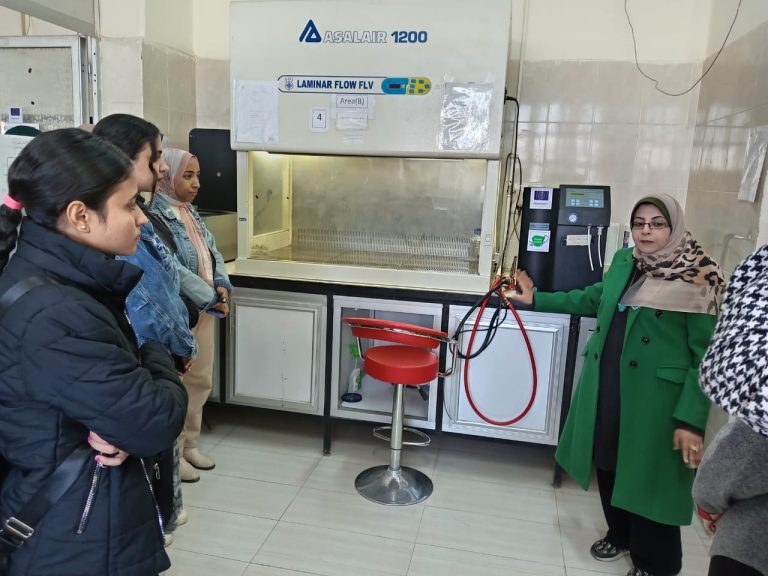 WhatsApp Image 2025-01-28 at 06.04.39