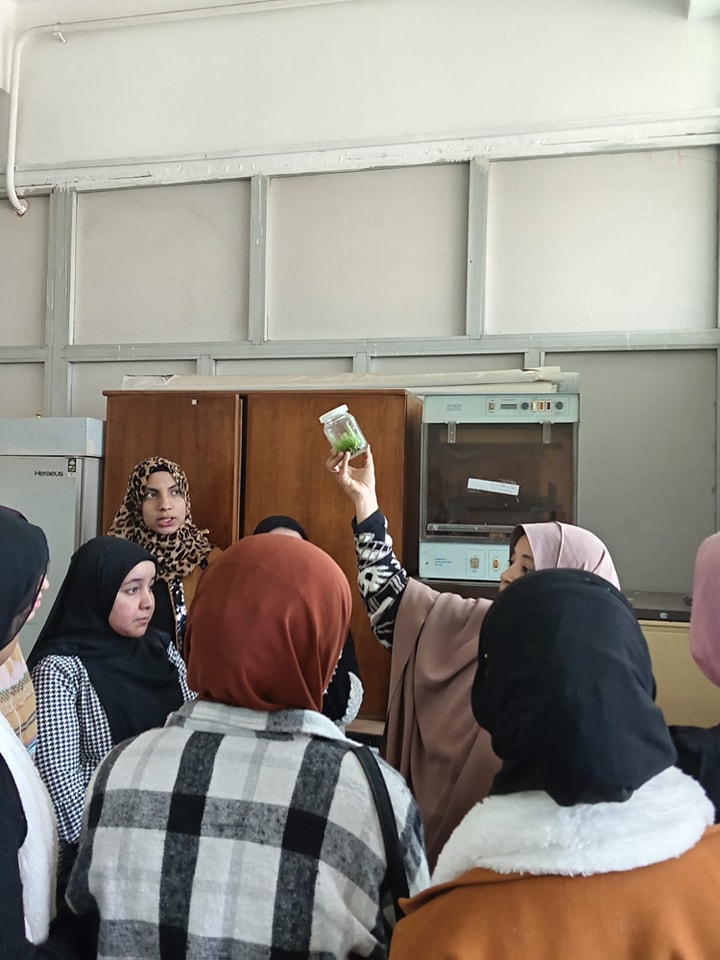 474763929_565814666455258_7873271058338524585_n