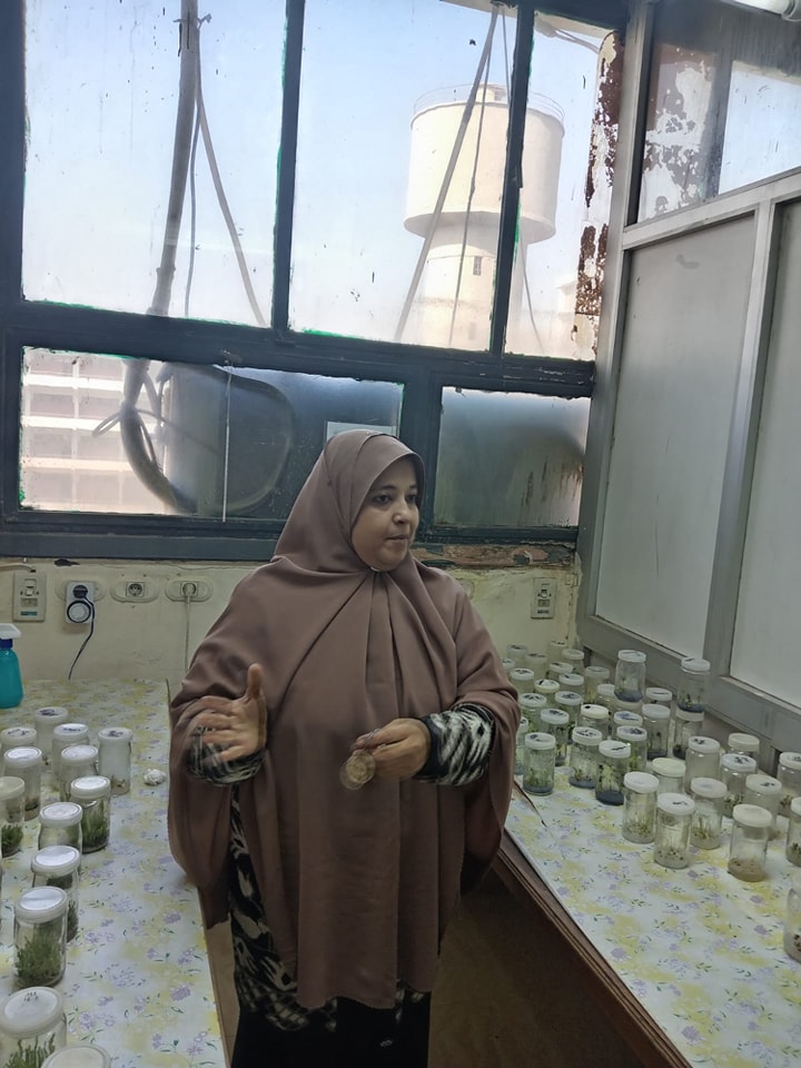 475397534_565814549788603_4287588907398520456_n