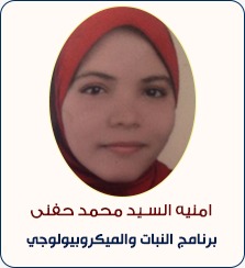 WhatsApp Image 2025-05-14 at 9.19.09 AM