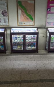 55e1dbc4-69a0-4780-b2c2-838ef565d38b-600x960