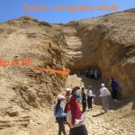 WhatsApp-Image-2024-11-13-at-3.27.16-AM-1-150x150