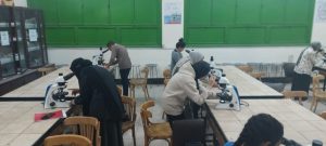 WhatsApp-Image-2024-11-16-at-3.21.47-PM-1-1024x462