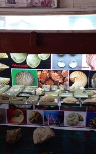 f211bd1e-9f40-4746-922b-35756b2af711-600x960