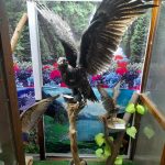zoo-29-150x150 (1)