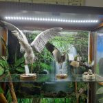 zoo-31-150x150 (2)