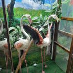 zoo-32-150x150 (1)