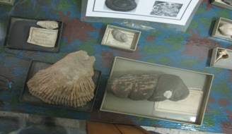 02-4.jpg