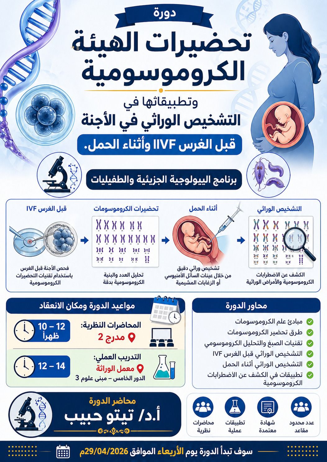 دورة تحضيرات الهيئة الكروموسومية